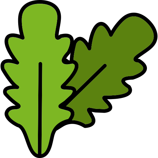 الجرجير