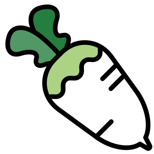 الفجل