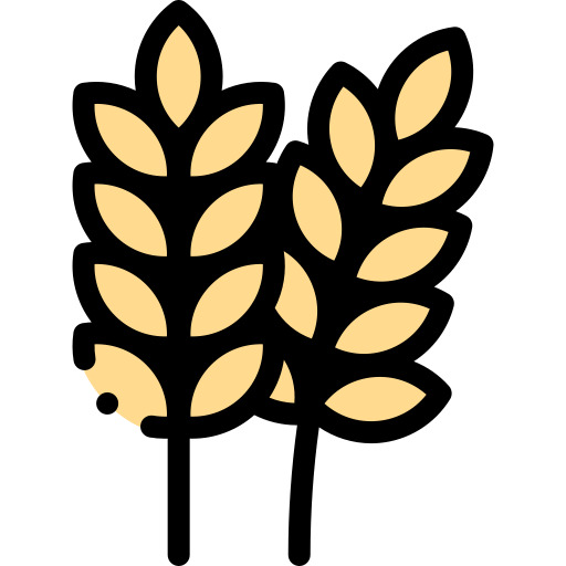 الارز